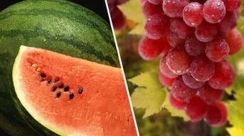 不吃瓜吃葡萄,远离是非之地