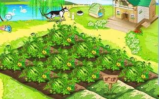 小说吃瓜的快乐,揭秘小说中的吃瓜狂欢