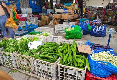 吃瓜 摆摊,摊位上的市井生活