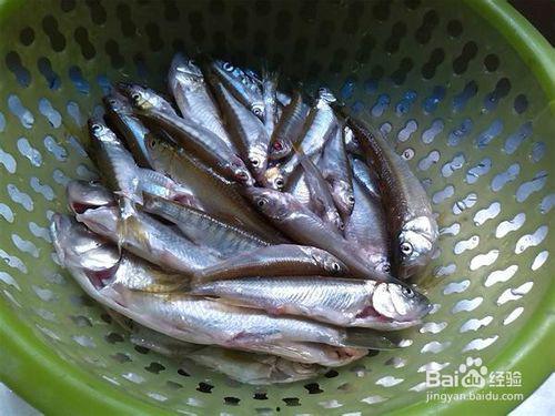 网红吃瓜网址小鱼,网红吃瓜达人小鱼带你揭秘娱乐圈最新热点