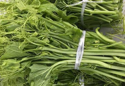 胡子瓜怎么吃呢,胡子瓜的多样食用方法揭秘