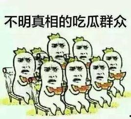 机智酷拽吃瓜群众,揭秘娱乐圈幕后真相